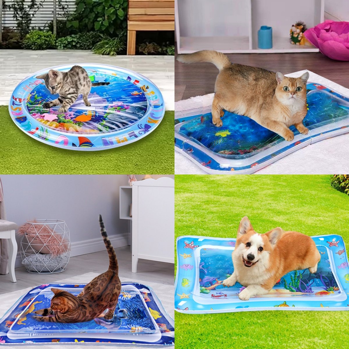 🔥Summer Hot Sale-50% Off😻Baby Pet Water Sensory Mat💋